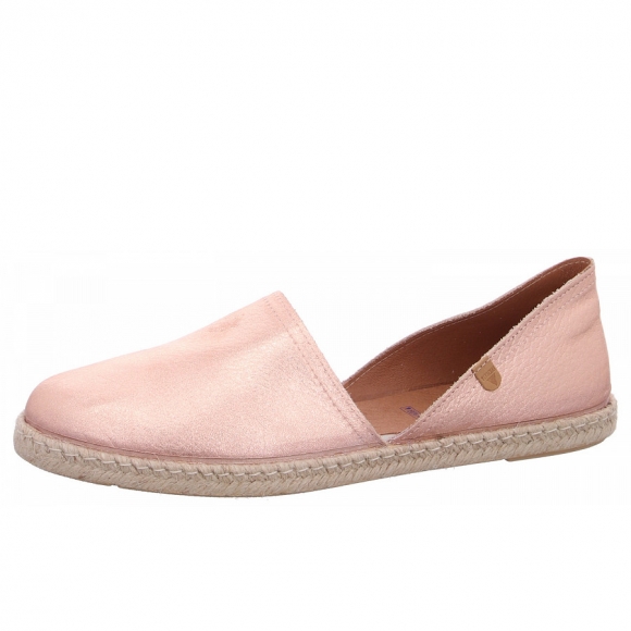 Verbenas Carmen Slipper in 0767 monrovia
