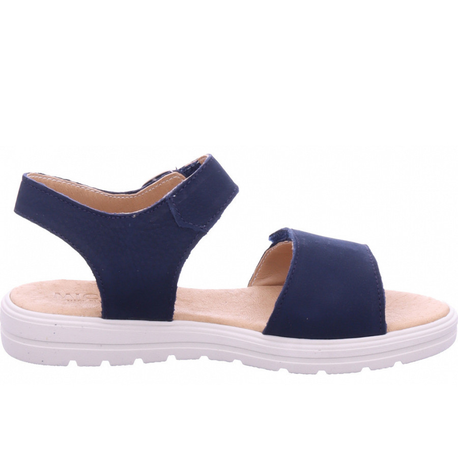 Micio in blau