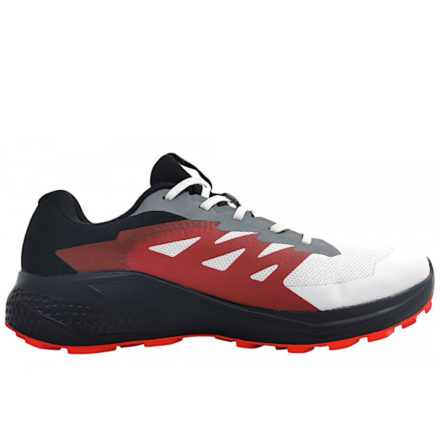 Salomon Alphaglide GTX Schnürer in lunroc/black