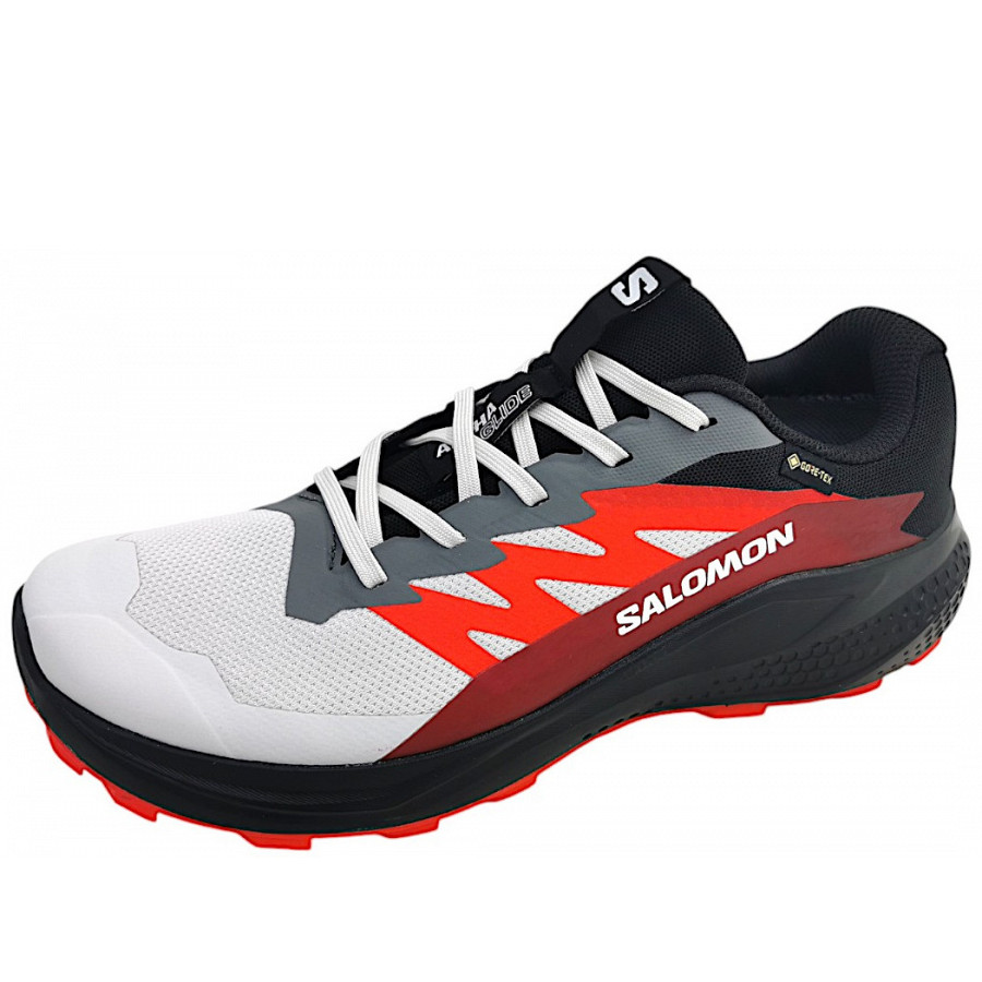 Salomon Alphaglide GTX Schnürer in lunroc/black
