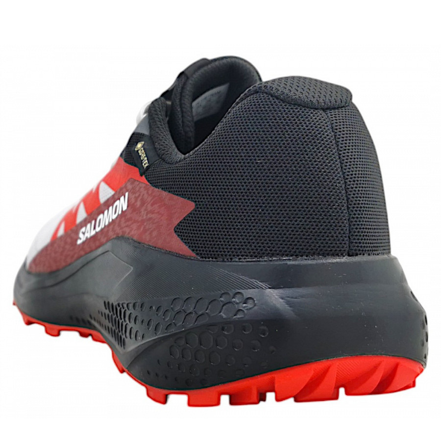 Salomon Alphaglide GTX Schnürer in lunroc/black